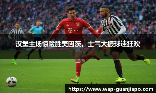 汉堡主场惊险胜美因茨，士气大振球迷狂欢