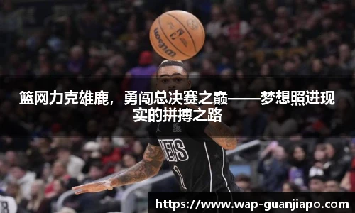篮网力克雄鹿，勇闯总决赛之巅——梦想照进现实的拼搏之路