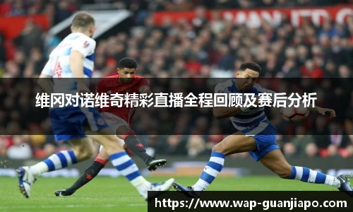 维冈对诺维奇精彩直播全程回顾及赛后分析